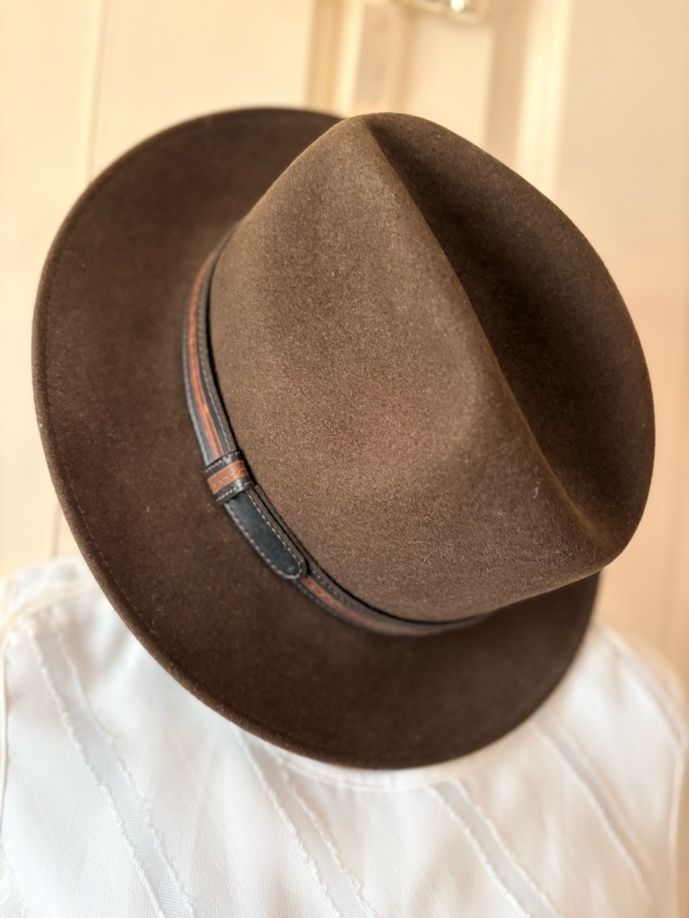 Classic Brown Wool Felt Fedora with Leather Band